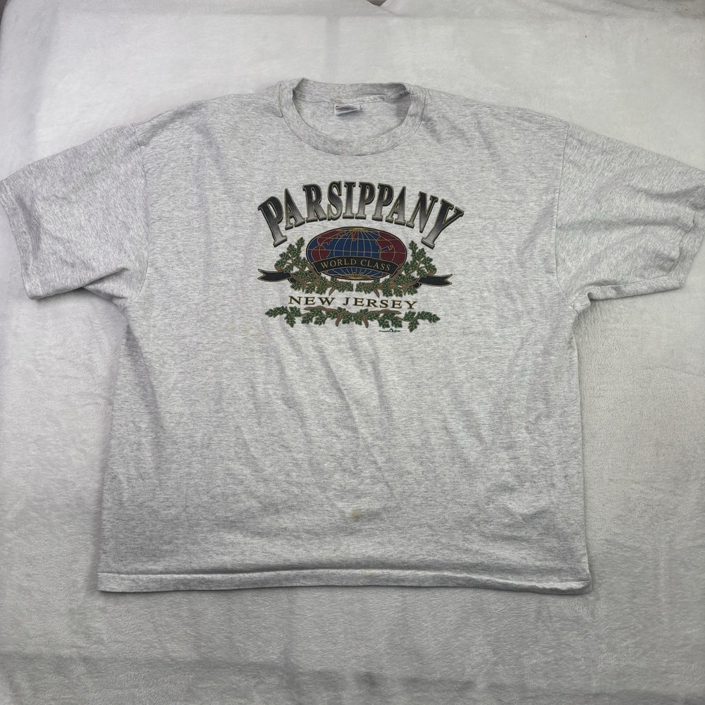 VTG Hanes Parsippany New Jersey Single Stitch Grey Graphic Shirt Men's XXL Stain